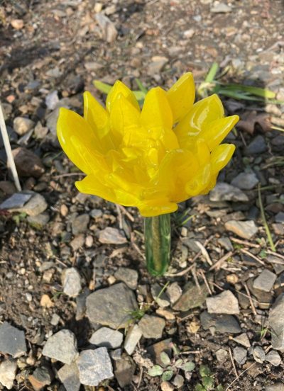 Hlaváček