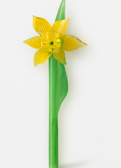 Narcis